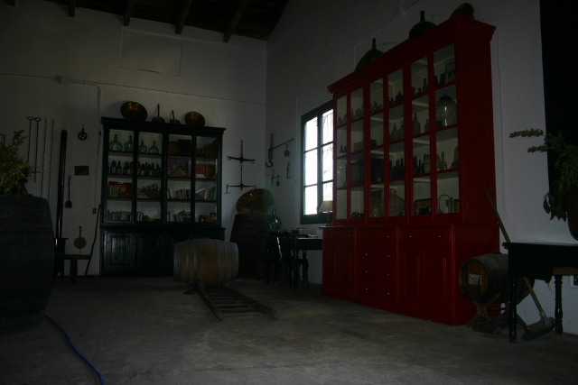 Bodega familiar.JPG